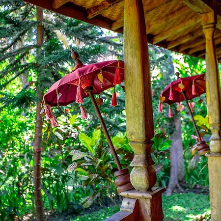 Swasti Eco Cottages